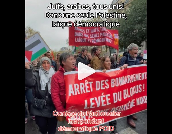 Le POID dans la manifestation de soutien au peuple palestinien à Paris le 4 novembre